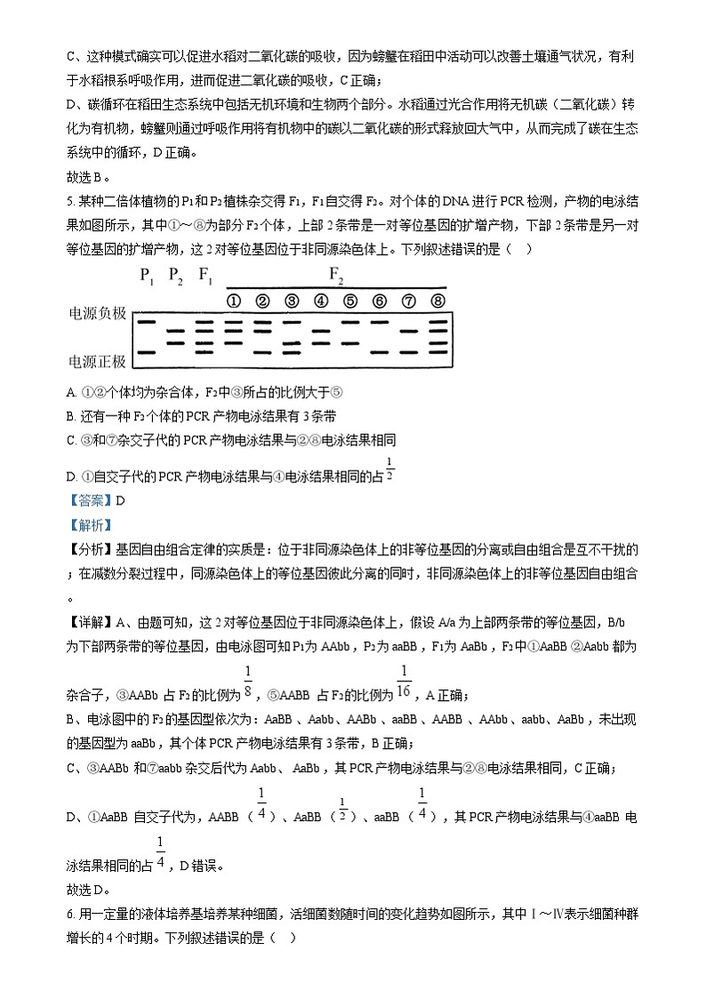 2024年高考真题——理综生物试卷（新课标卷）解析版03
