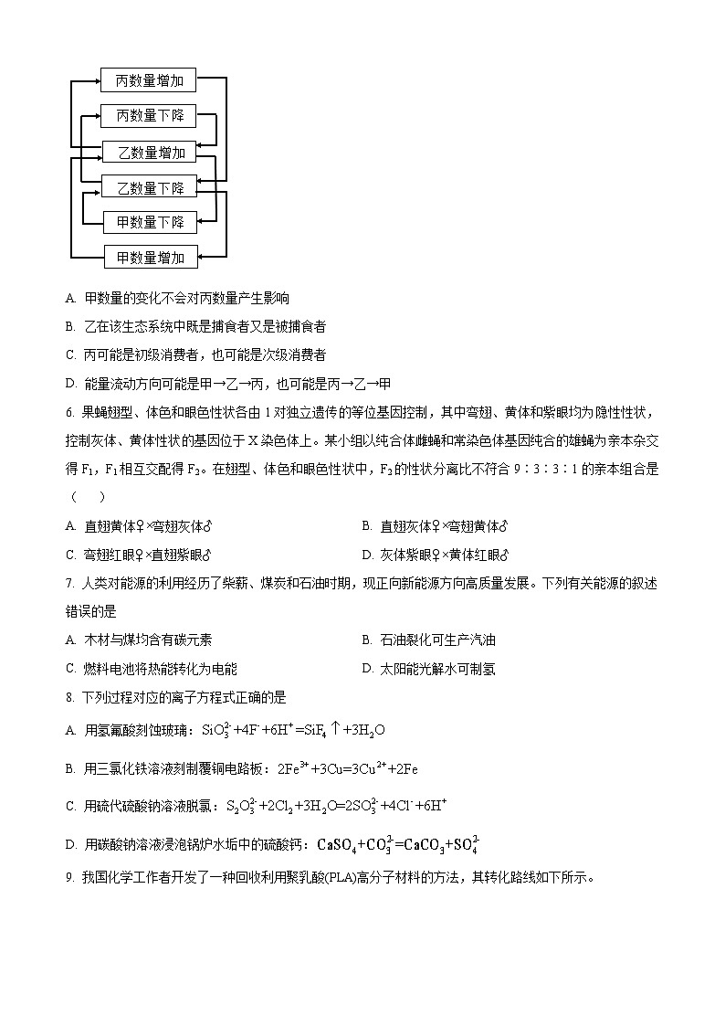 2024年高考全国甲卷理综高考真题解析（原卷+解析）02