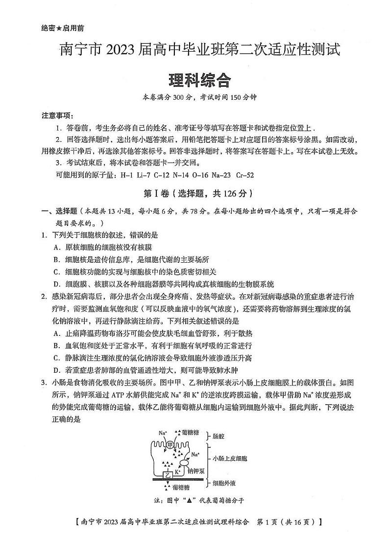 广西南宁高三（模拟考）-理综试题附答案第1页