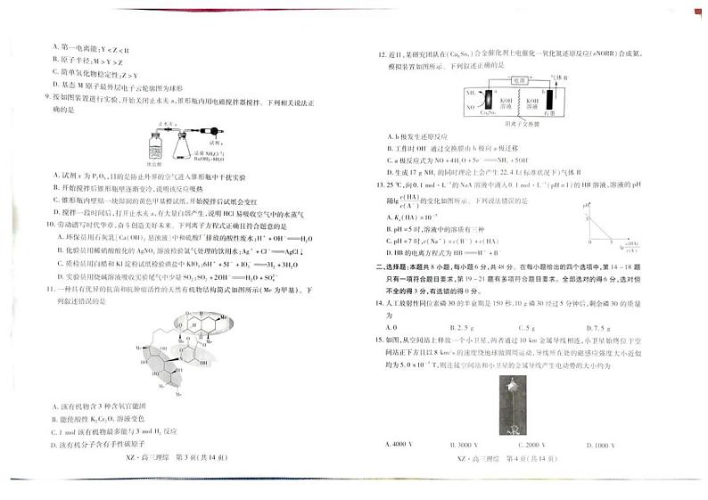 西藏自治区拉萨市2025届高三上学期一模理综试题（PDF版附解析）第2页