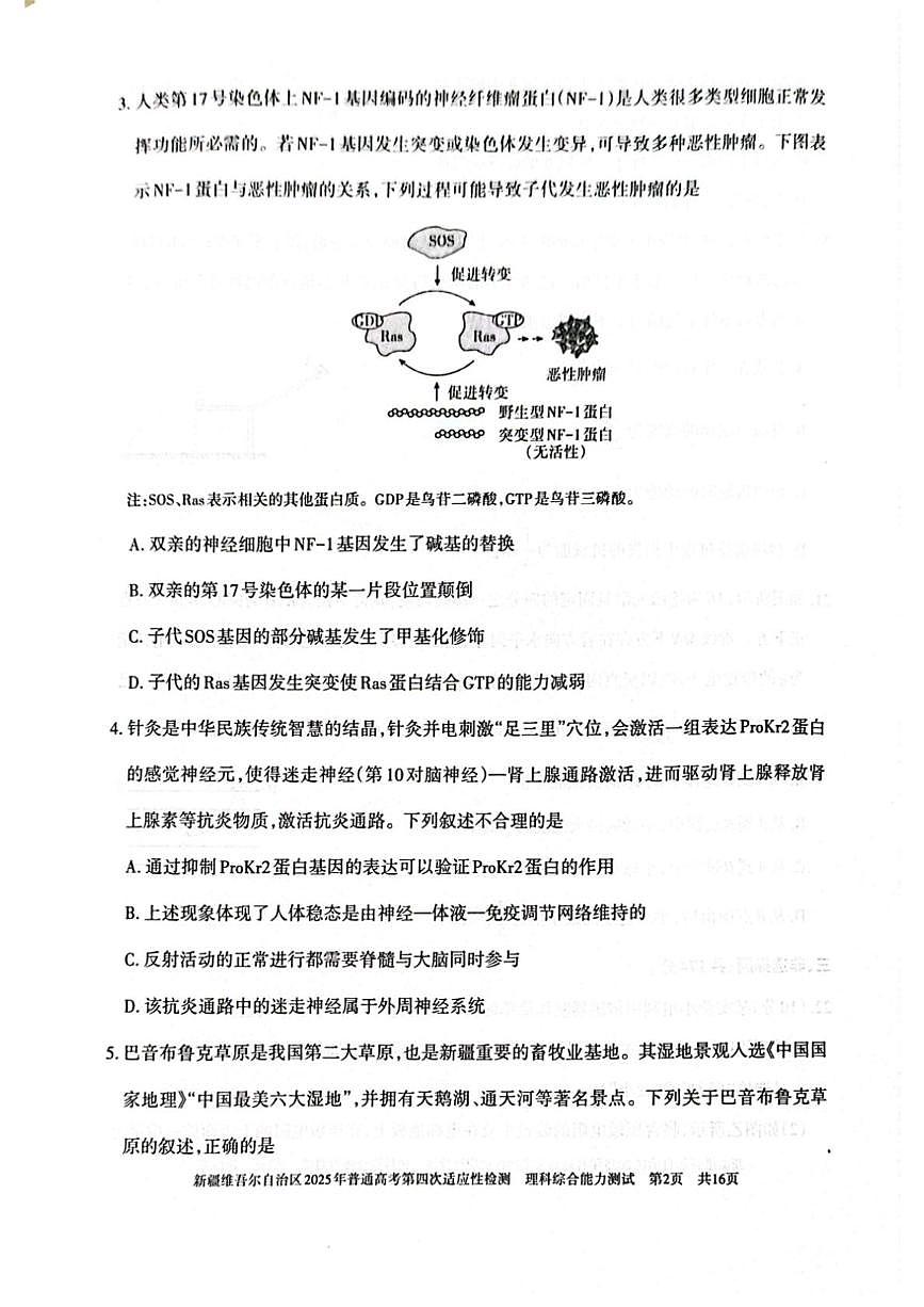 2025届新疆维吾尔自治区高三下学期第四次适应性检测理科综合能力测试试卷（高考模拟）第2页