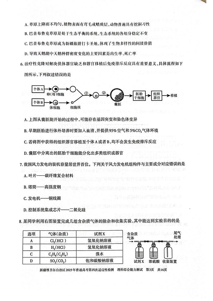 2025届新疆维吾尔自治区高三下学期第四次适应性检测理科综合能力测试试卷（高考模拟）第3页