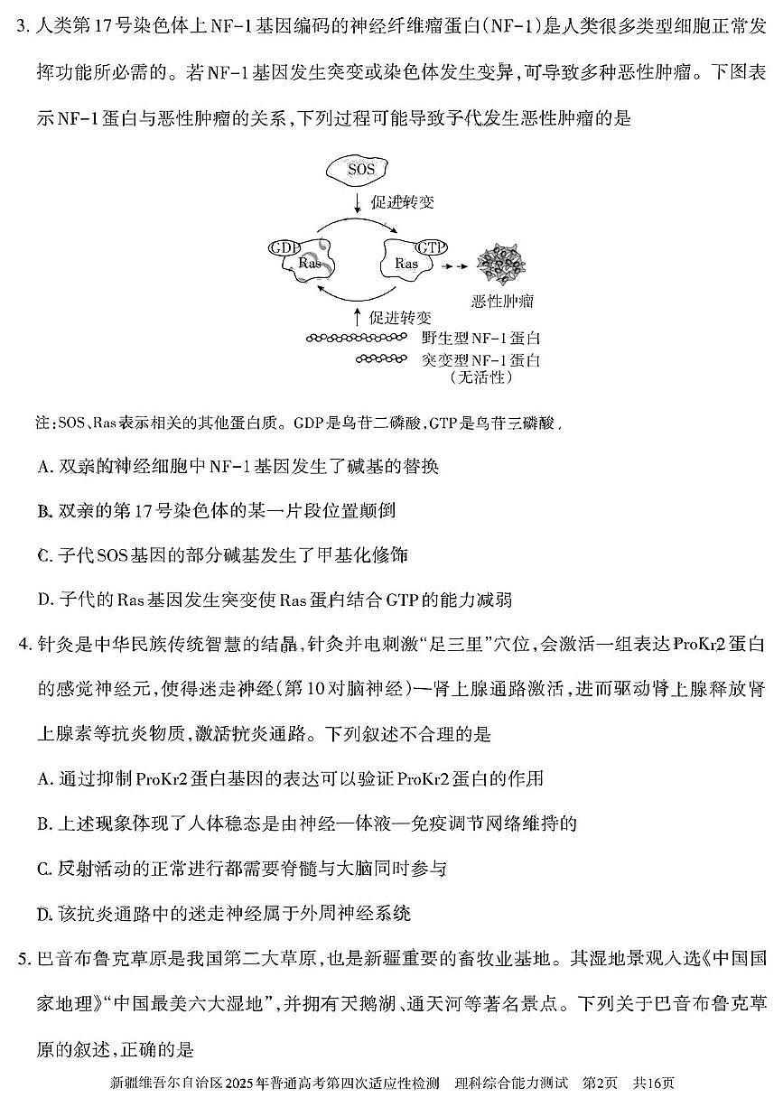 2025届新疆维吾尔自治区高三下学期第四次适应性检测理科综合能力测试试卷（高考模拟）第2页