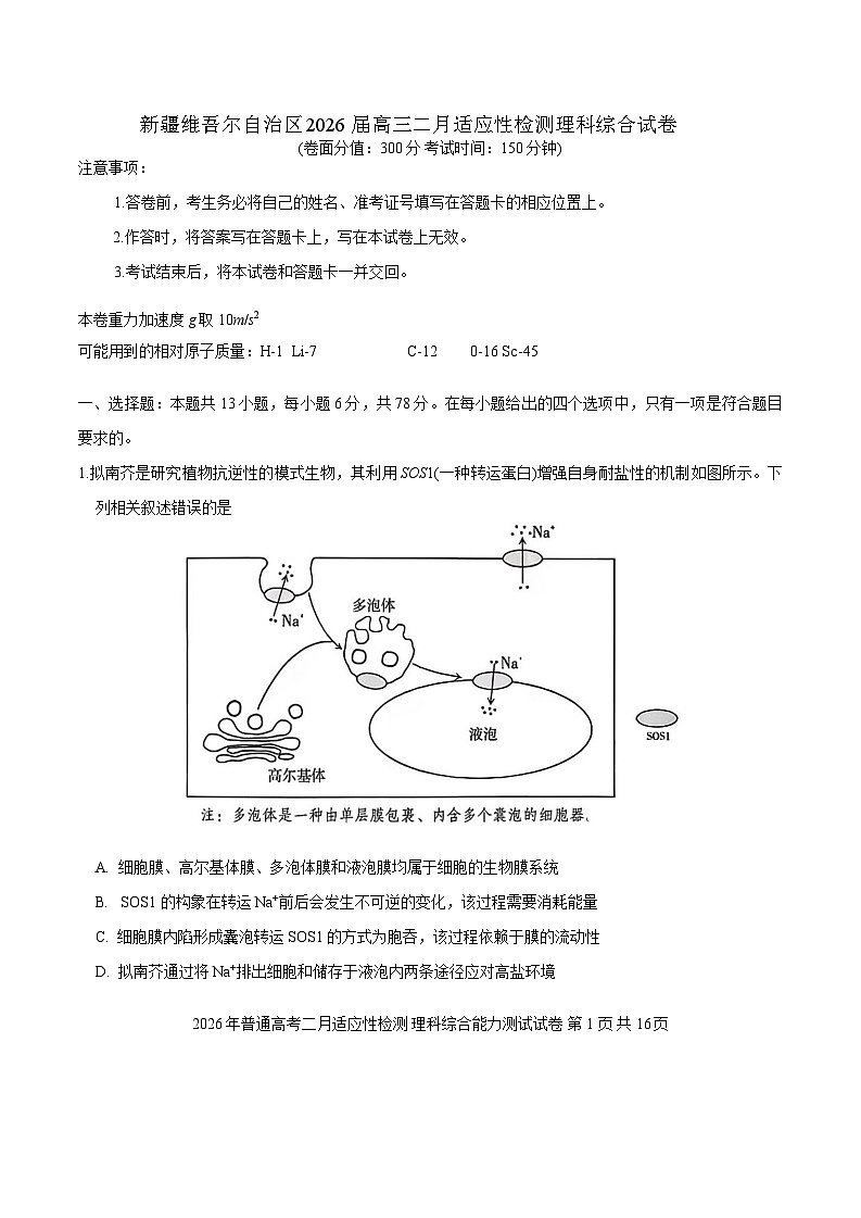 新疆维吾尔自治区2026届高三二月适应性检测理科综合试卷（含答案）第1页