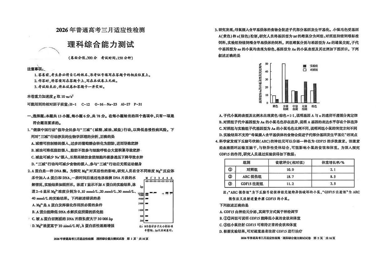 新疆2026年普通高考三月适应性检测 理综第1页