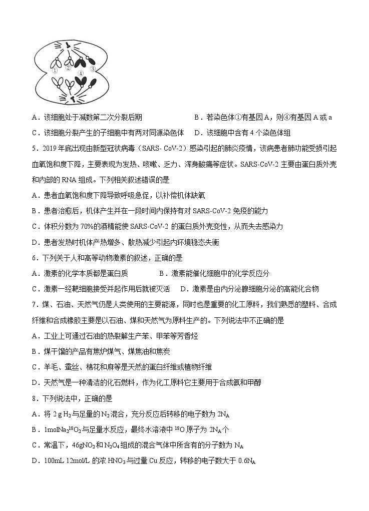 四川省宜宾市第四中学2021届高三上学期开学考试 理科综合（word版含答案）02