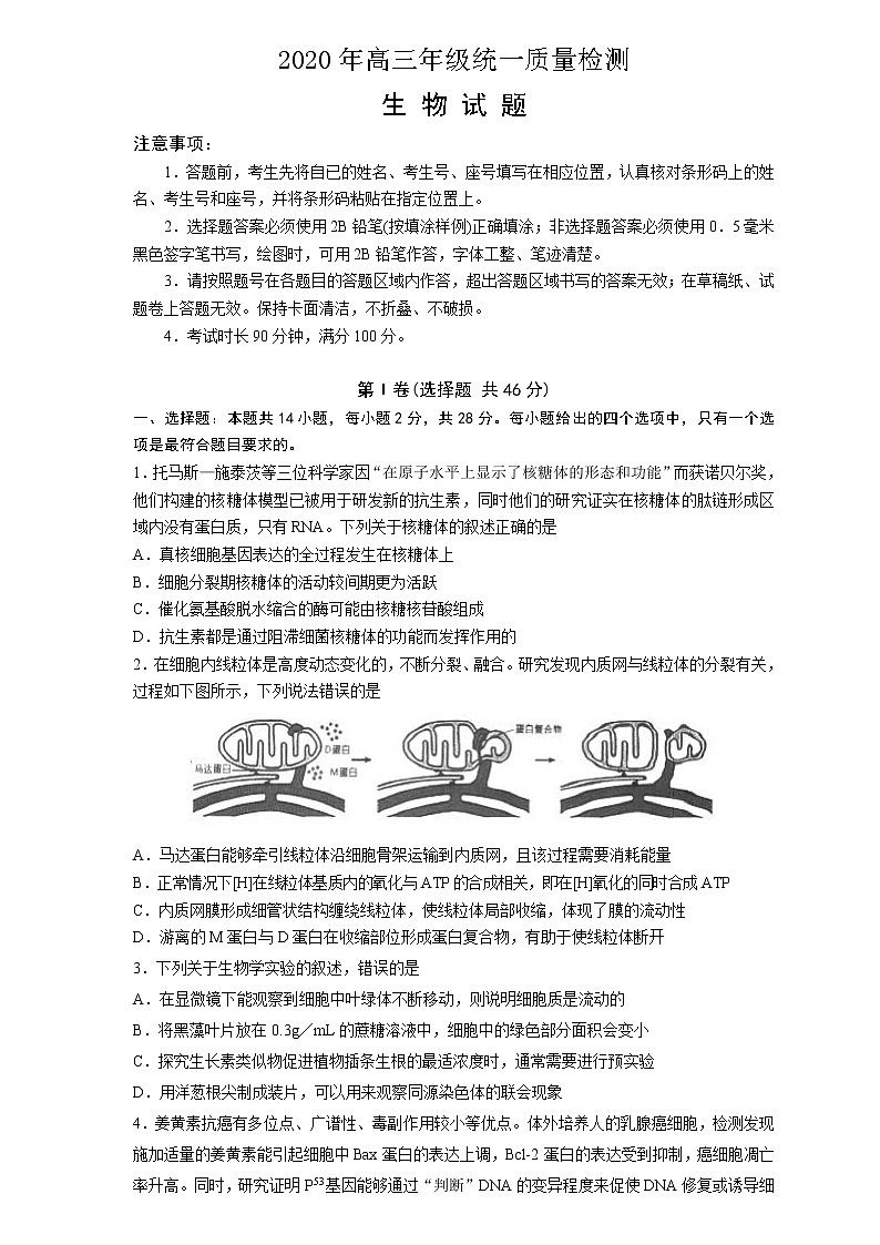 【生物】（中学联盟）青岛市2020届高三5月份模拟考试第1页