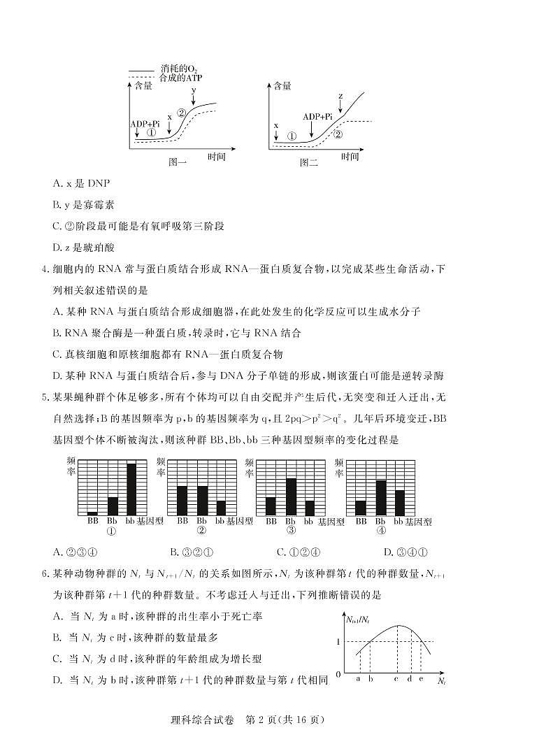 2020年普通高等学校全国统一招生模拟考试 理科综合试题第2页
