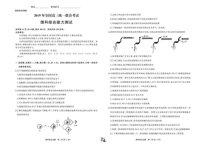 河北省衡水中学2019届高三下学期大联考卷Ⅱ 理综（ PDF版含答案）第1页