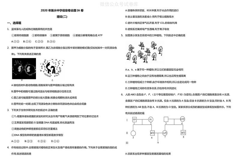理综丨2020 年衡水中学信息卷全国 IA 卷理综试卷及答案01