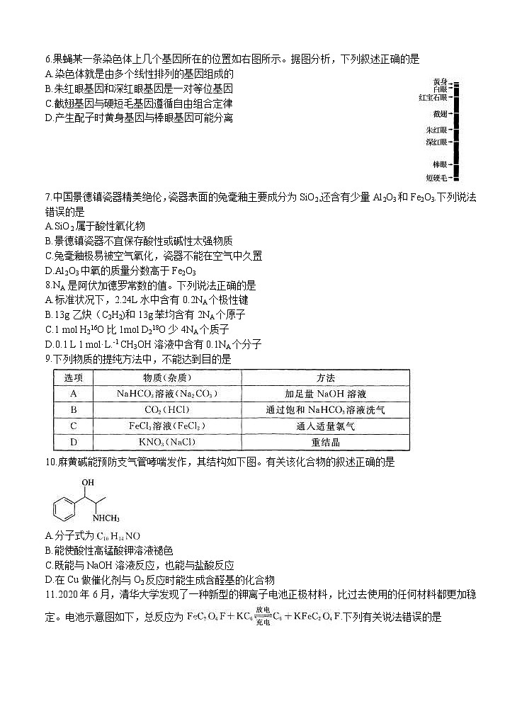 四川省遂宁市2021届高三上学期第一次诊断性考试 理科综合 (含答案)02
