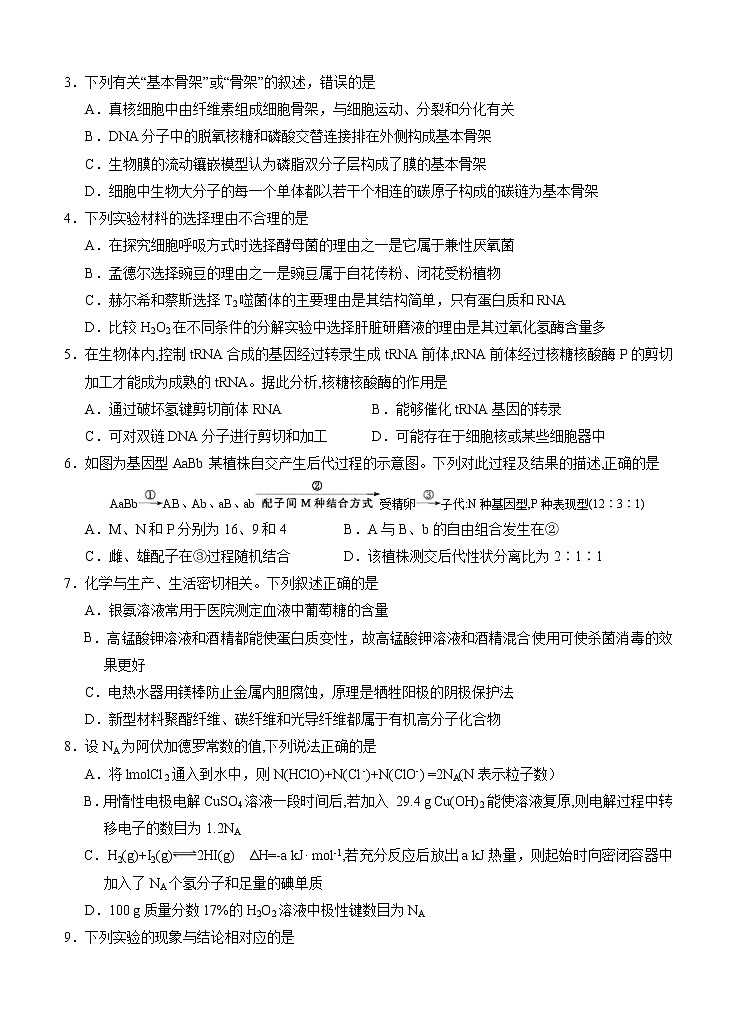 宁夏银川一中2021届高三第四次月考 理科综合（含答案） 试卷02