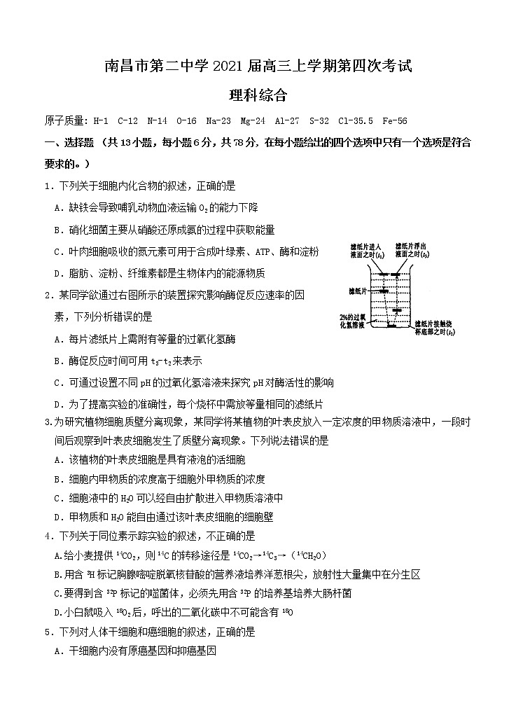 江西省南昌市第二中学2021届高三上学期第四次考试 理综 (含答案)01
