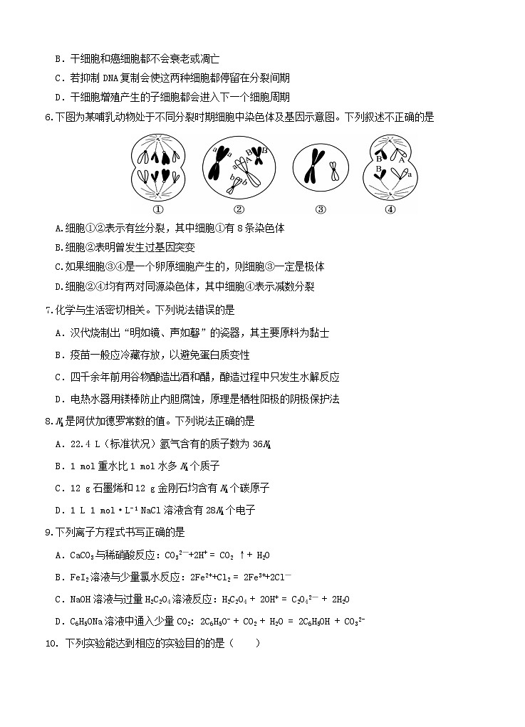 江西省南昌市第二中学2021届高三上学期第四次考试 理综 (含答案)02
