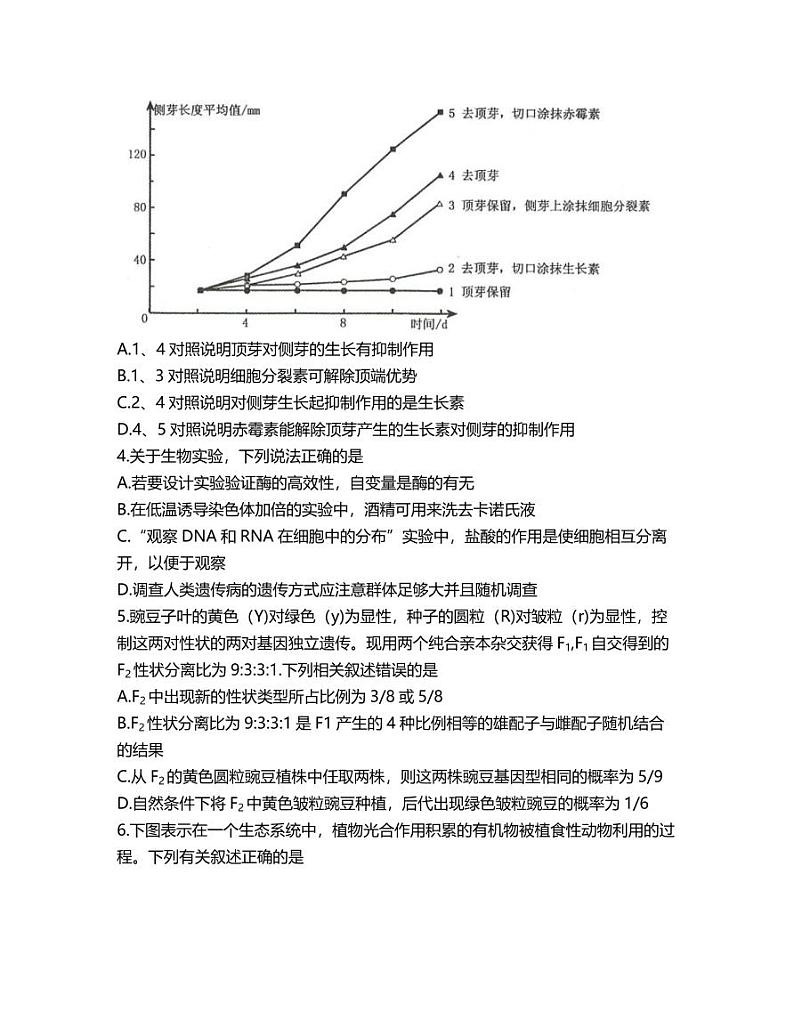 2021郑州高三二模理科综合试题及答案02