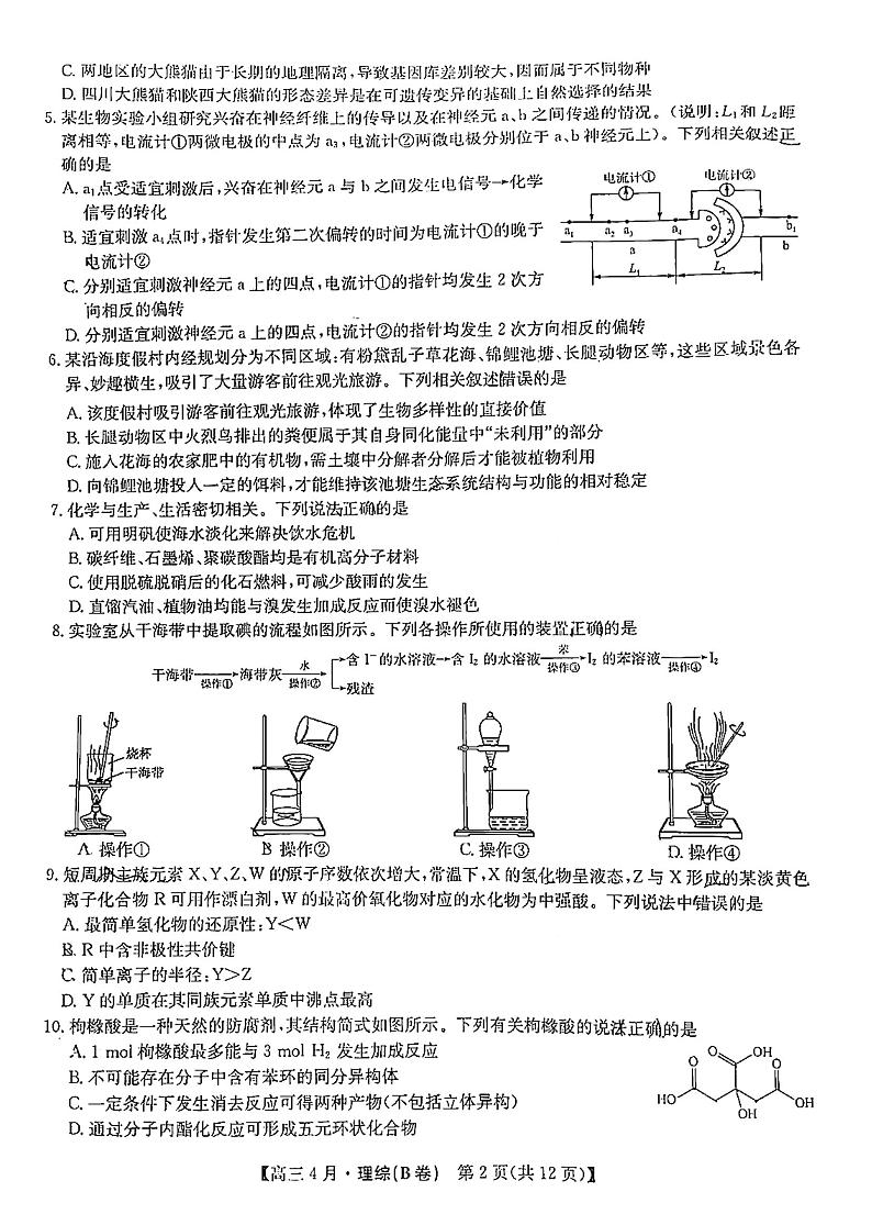 2021九师联盟高三4月理综模拟考试第2页