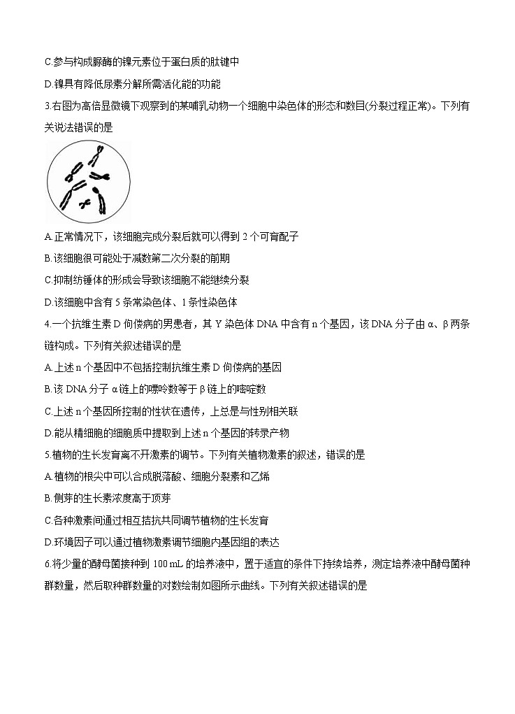 四川省天府名校2021届高三下学期4月诊断性考试理科综合（含答案）02