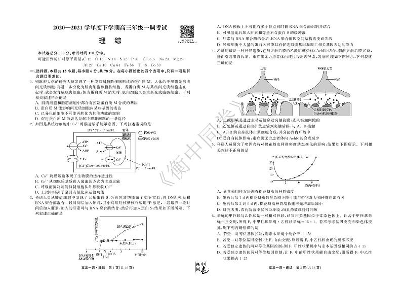 衡中同卷2021届高三下学期一调考试+理科综合+答案解析（PDF版）01