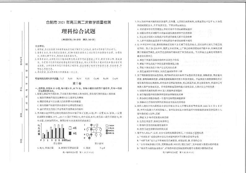 合肥市2021年高三年级第二次模拟考试《理科综合》试题01