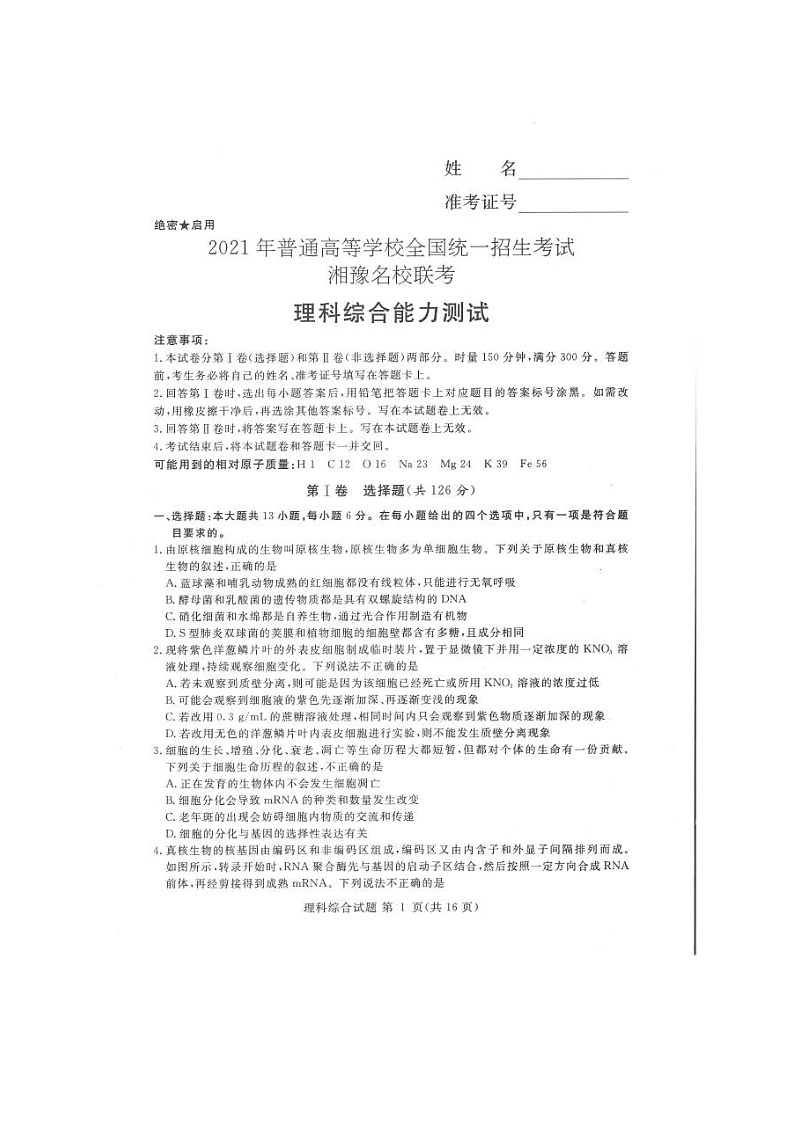 湘豫名校联盟2021届高三下学期5月联考 理综（含答案） 试卷01