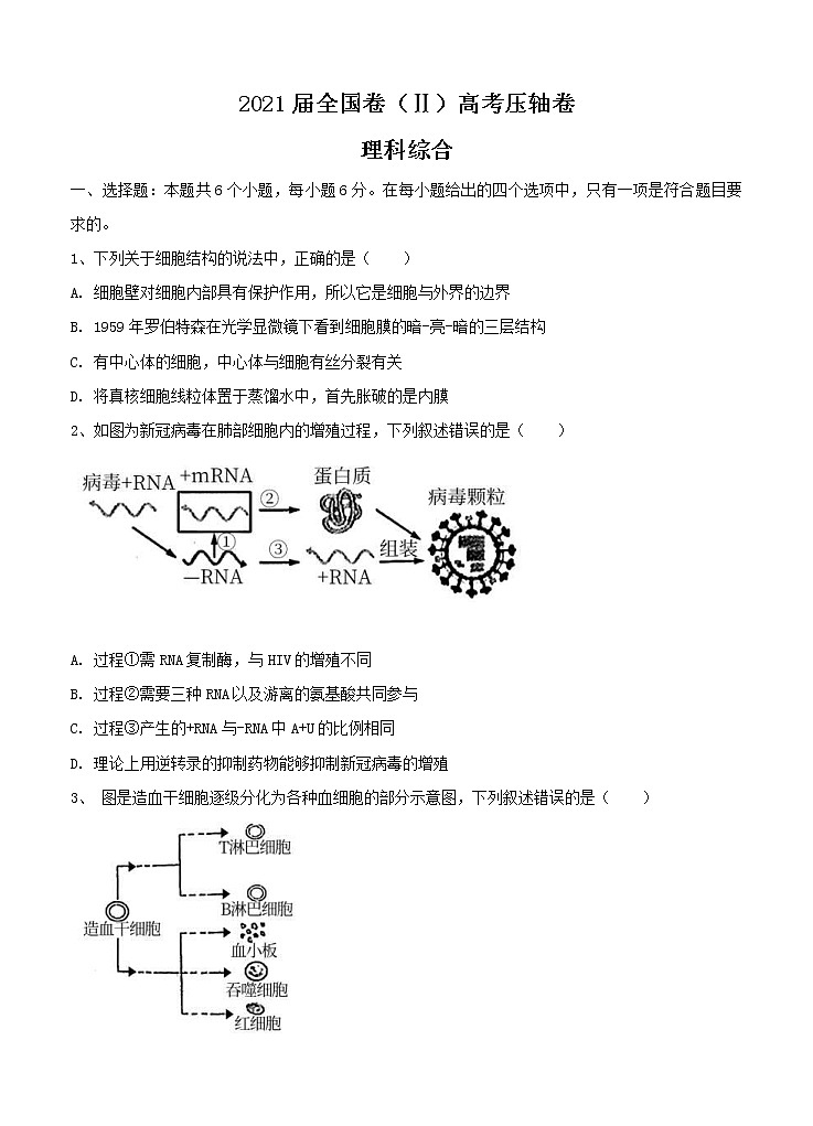 2021届全国卷Ⅱ高考压轴卷 理综（含答案）01