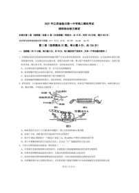 江西省抚州市临川第一中学2021届高三下学期5月高考模拟考试 理科综合（含答案）