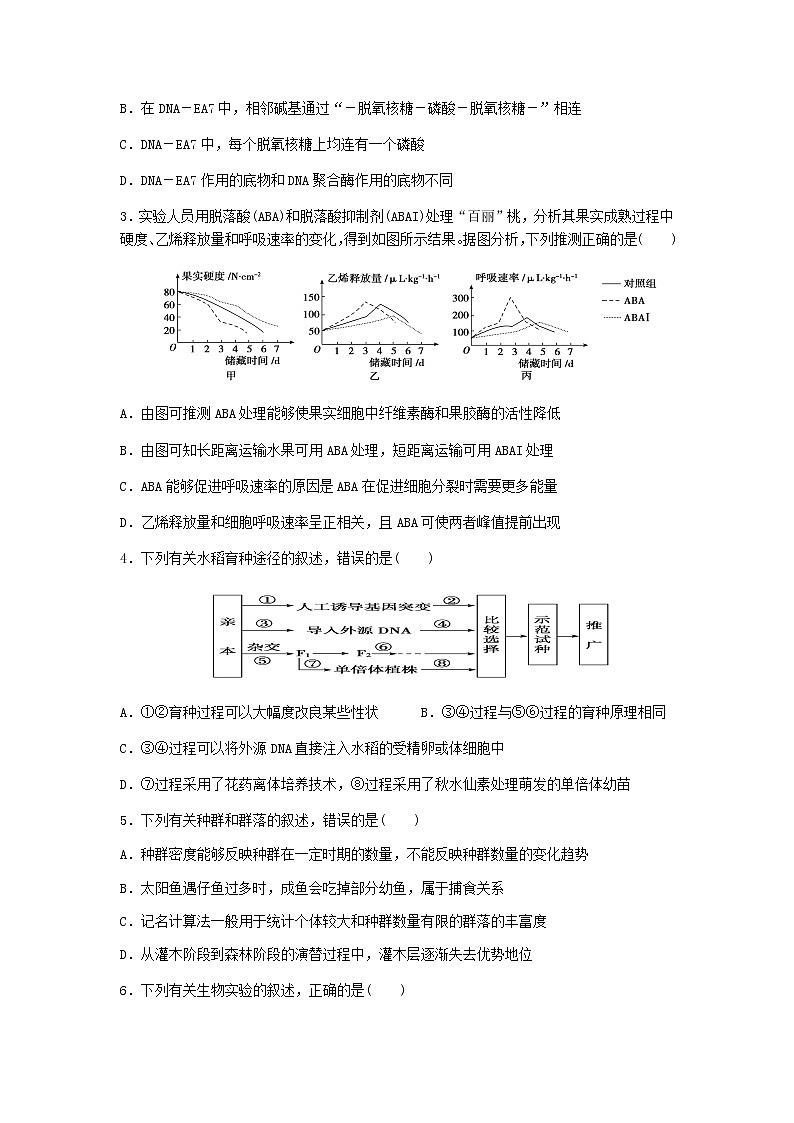 2021届宁夏中卫市高三下学期第二次优秀生联考（5月） 理综 试卷02