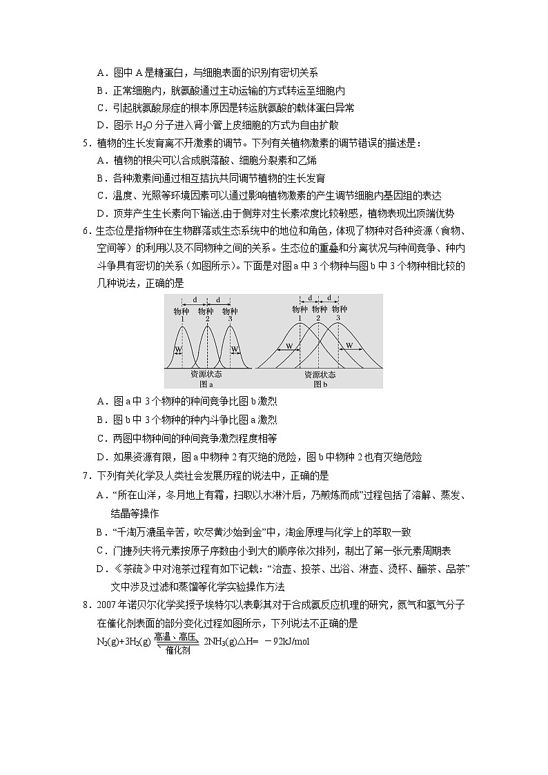 2021届宁夏银川市第六中学高三第三次模拟考试 理综02