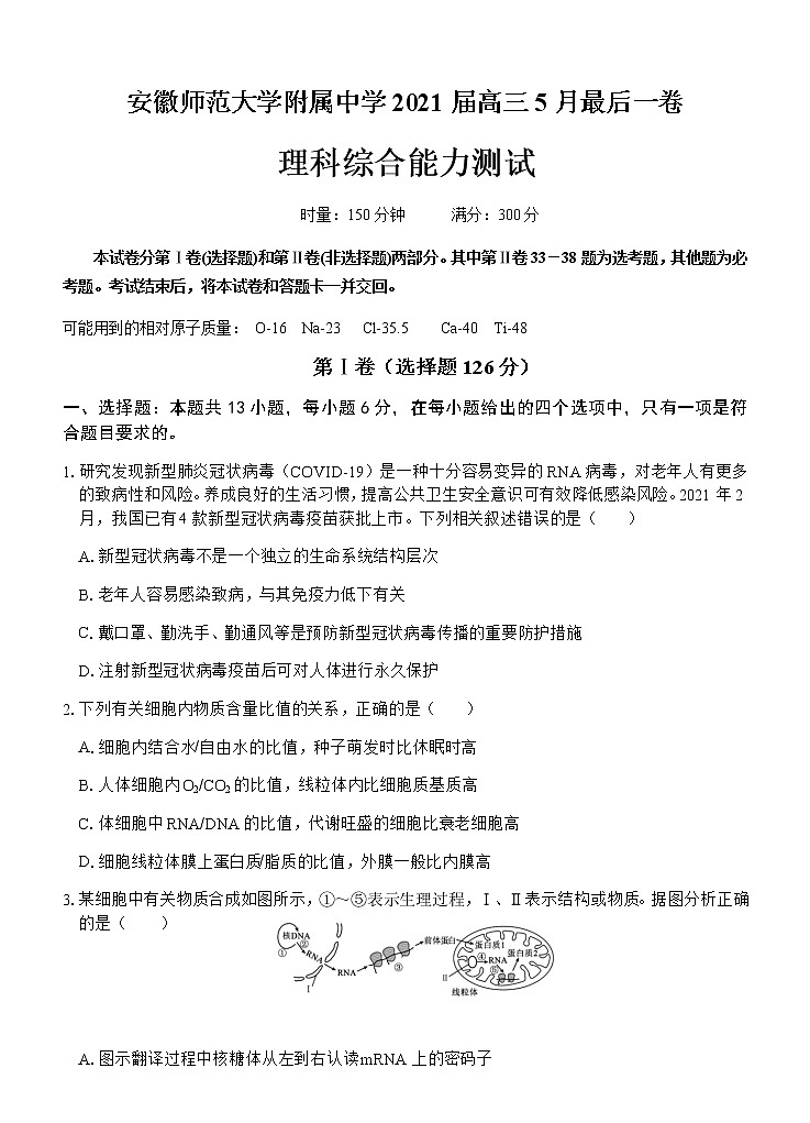 安徽师范大学附属中学2021届高三5月最后一卷理科综合试题 word无答案01