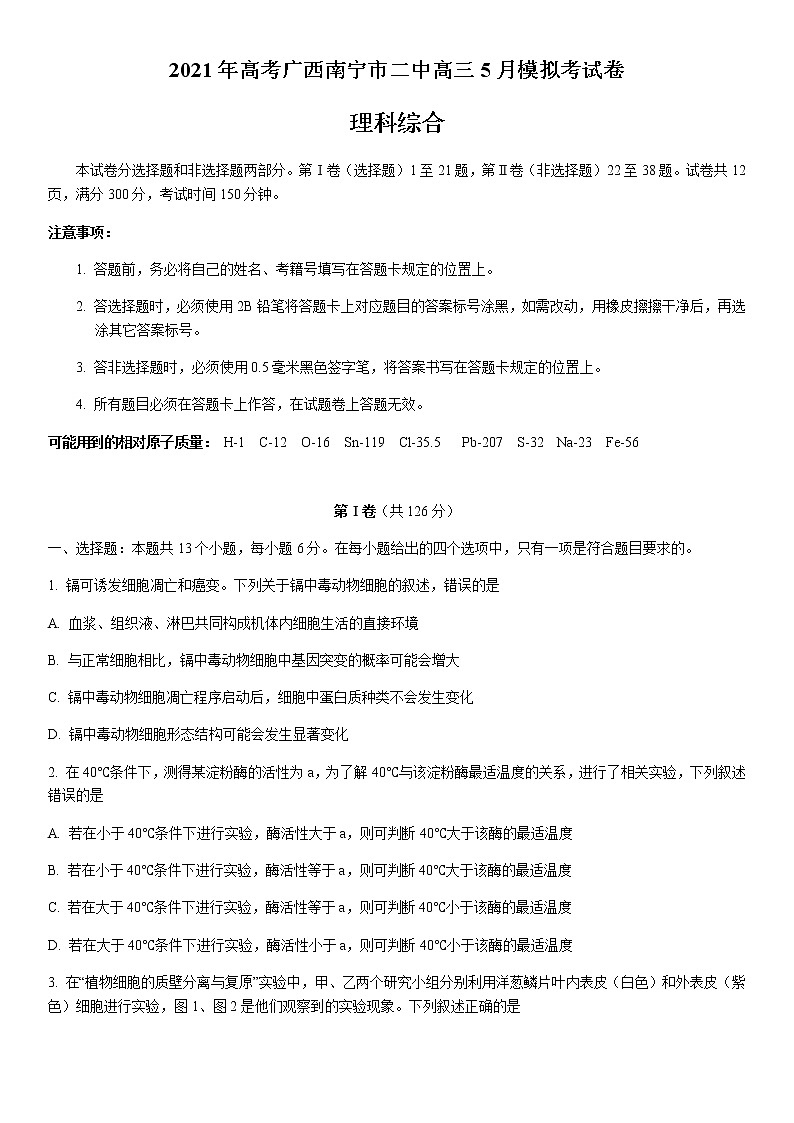 广西南宁市第二中学2021届高三下学期5月模拟考试理综试题+答案01