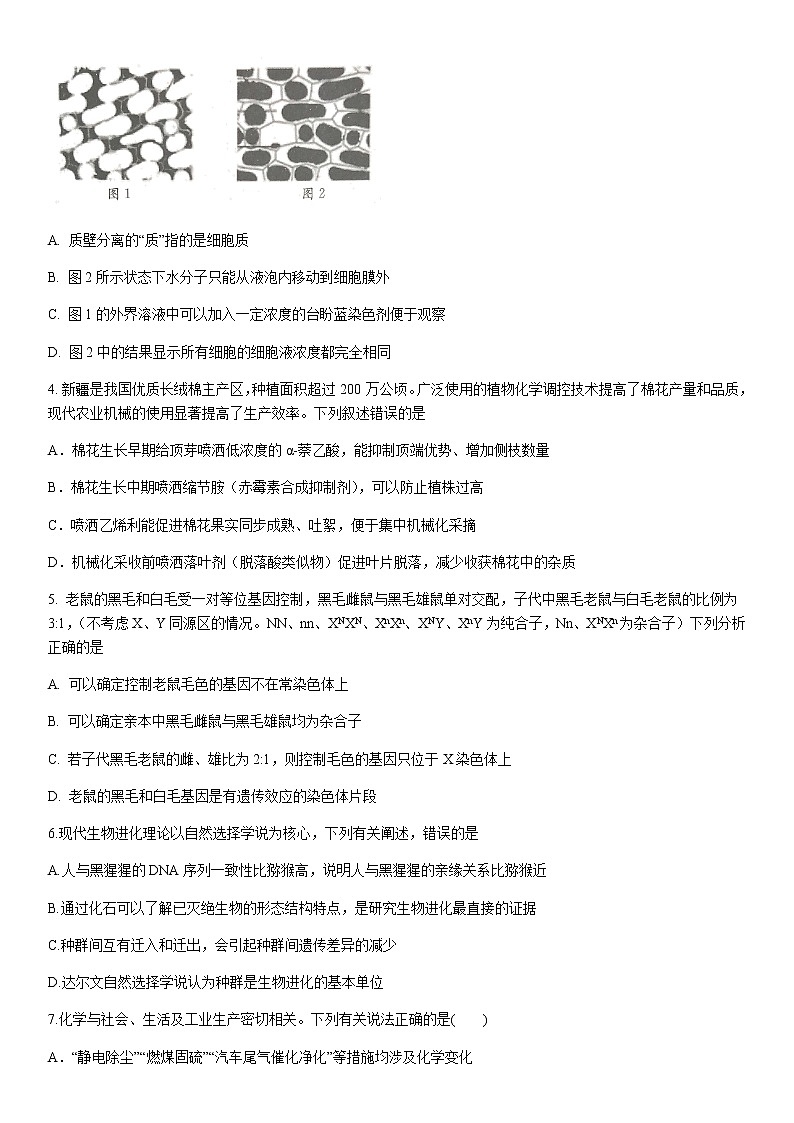 广西南宁市第二中学2021届高三下学期5月模拟考试理综试题+答案02