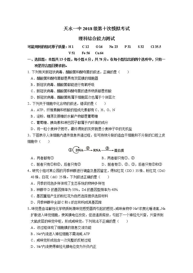 甘肃省天水市一中2021届高三下学期5月第十次模拟考试理科综合试题+答案01