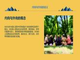 北京版高二上册心理健康第二课效率高，有妙招第二节内向好还是外向好（课件）