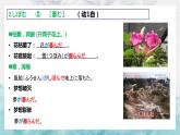 第14課 ひと 朝だけの朝顔 单词课件-2022-2023学年高中日语人教版选选择性必修第二册