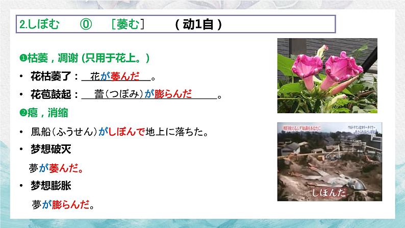 第14課 ひと 朝だけの朝顔 单词课件-2022-2023学年高中日语人教版选选择性必修第二册04