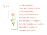 39 眼鏡をかけた本を読みます高中日语 标日课件