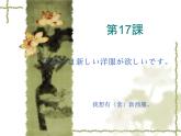高中日语标日初级上册课件第十七课わたしは新しい洋服が欲しいです。