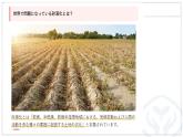 第12課 砂漠を緑に 课件 2024-2025学年高中日语人教版第三册