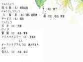 第16课 ホテルの 部屋は 広くて明るいです 课件-2024-2025学年高中日语新版标准日本语初级上册