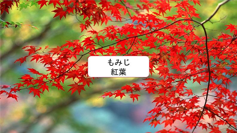 第10课 京都の　紅葉は　有名　です。课件  高中日语标日课件单词第2页