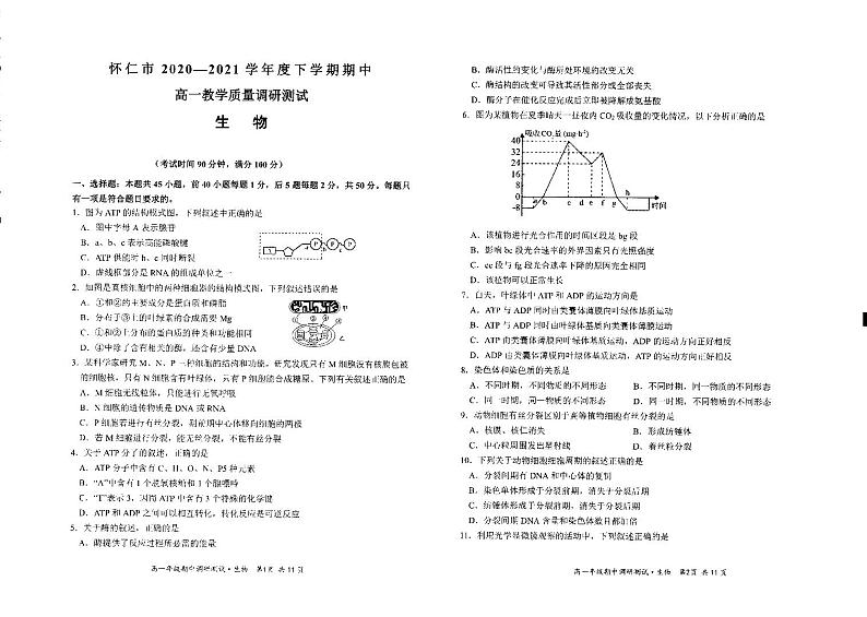 2020-2021学年山西省怀仁市高一下学期期中考试生物试题 PDF版第1页