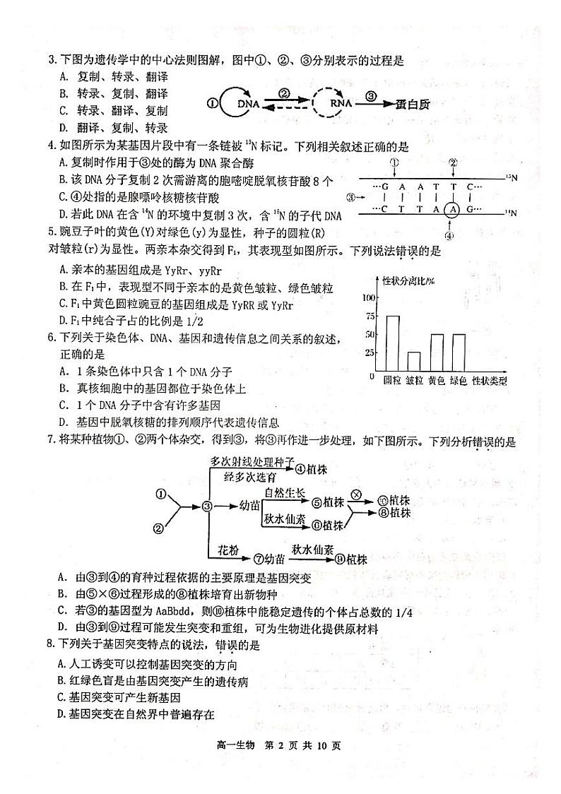 2019-2020学年江苏省徐州市高一下学期期末抽测生物试题 PDF版02