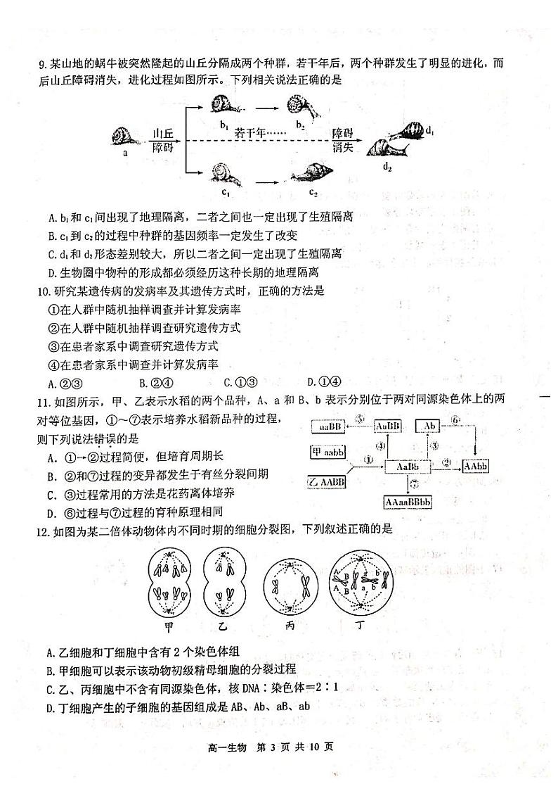 2019-2020学年江苏省徐州市高一下学期期末抽测生物试题 PDF版03