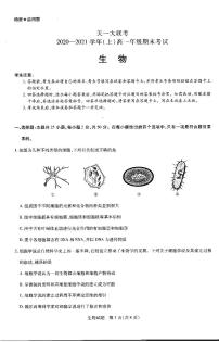 2020-2021学年河南省天一大联考高一上学期期末考试 生物 pdf版