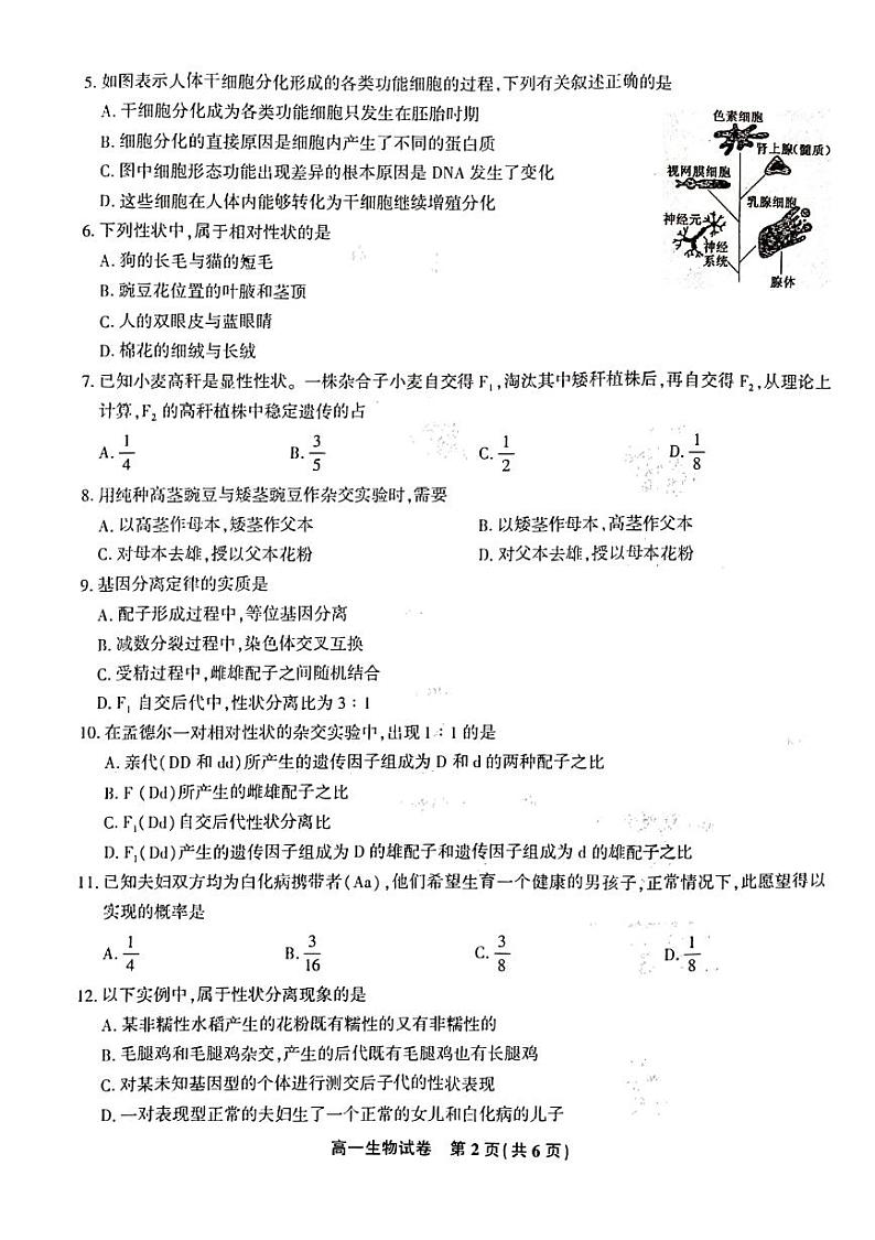 2020-2021学年江西省九江市六校高一下学期期末考试质量检测生物试题 PDF版第2页