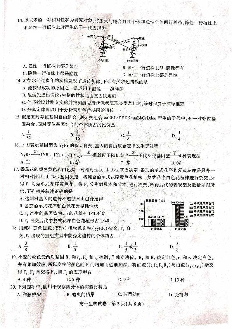 2020-2021学年江西省九江市六校高一下学期期末考试质量检测生物试题 PDF版第3页