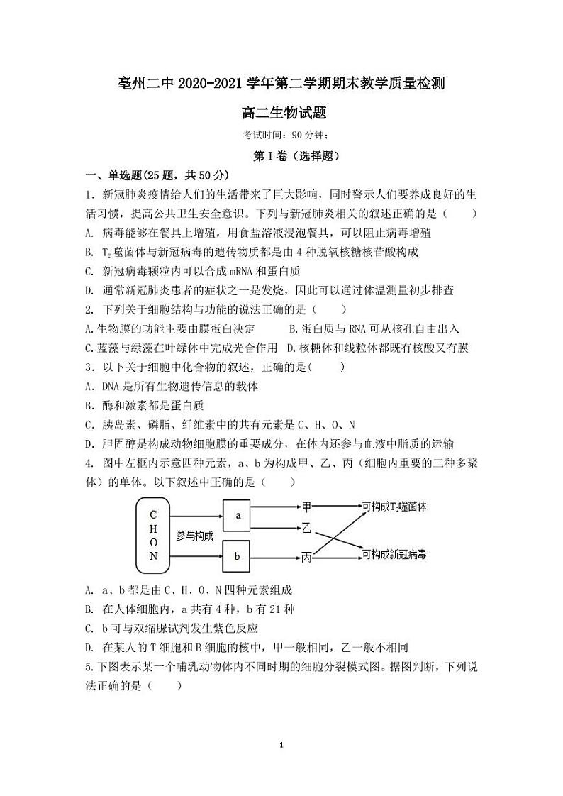 安徽省亳州市第二中学2020-2021学年高二下学期期末考试生物试题（PDF版）第1页