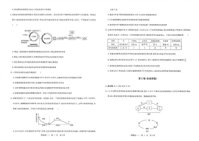 2020年天津高考10套押题卷+详细答案（生物）第2页