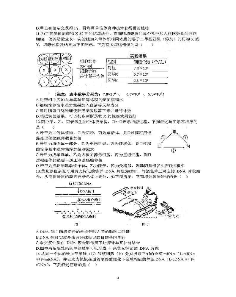 “山东学情”高二下学期联考-生物试题（含解析）03