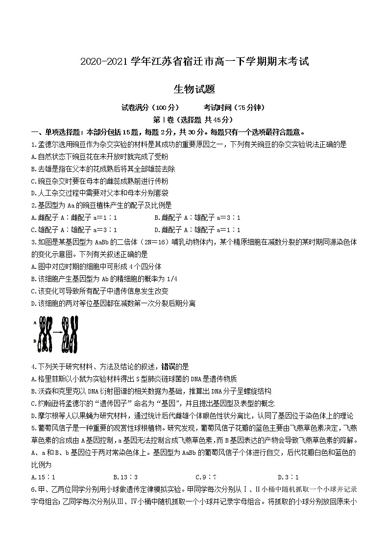 2020-2021学年江苏省宿迁市高一下学期期末考试生物试题01